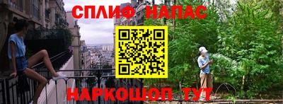 стаф Сланцы