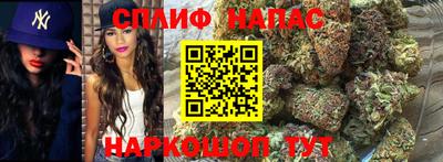 прущие грибы Жуковский