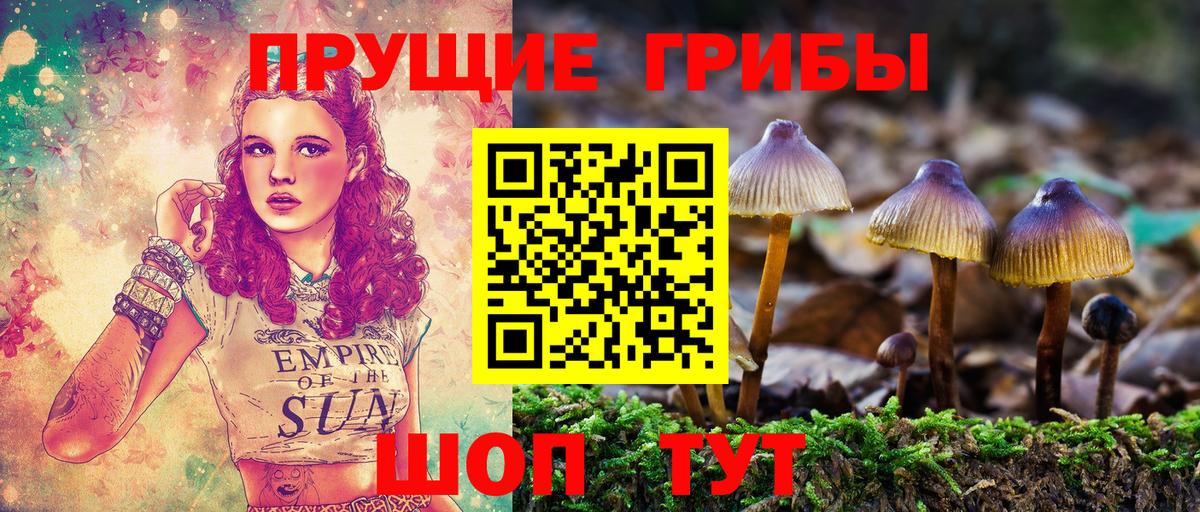Псилоцибиновые грибы Magic Shrooms Москва